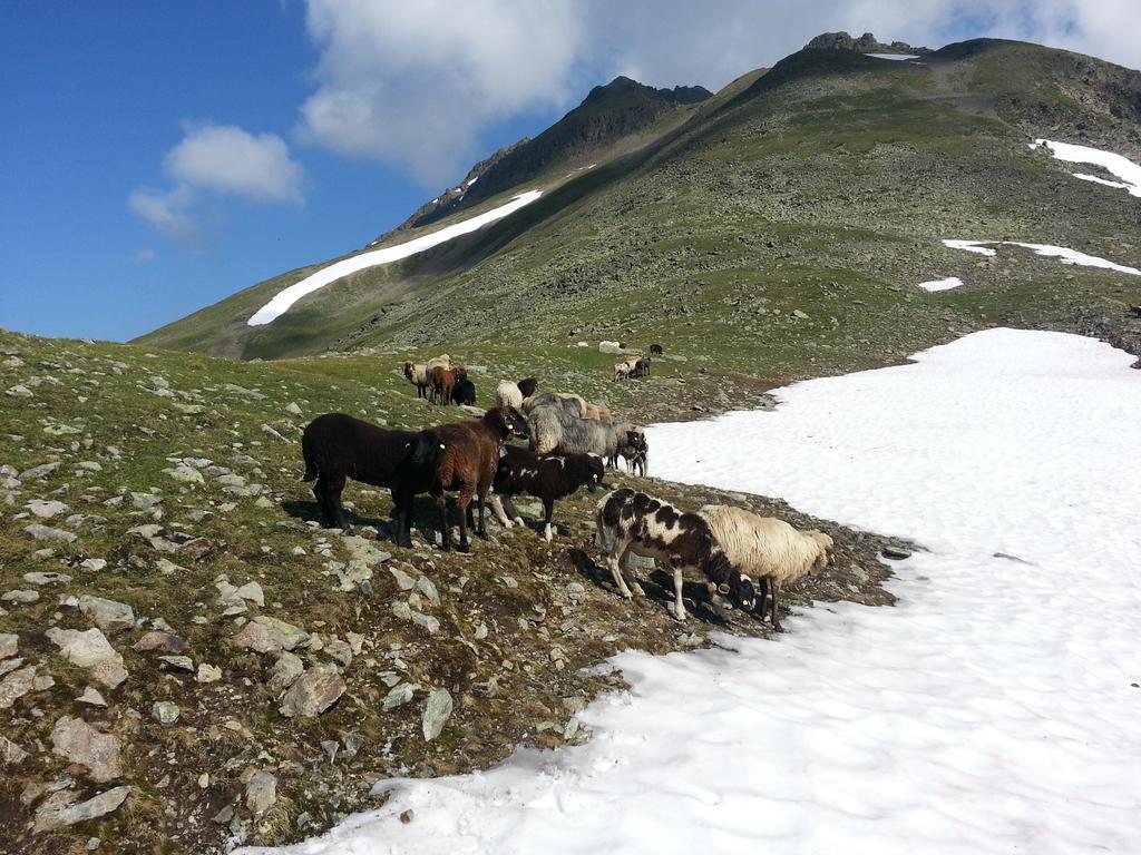 Ferienhaus Eiter Sankt Leonhard im Pitztal Exteriör bild