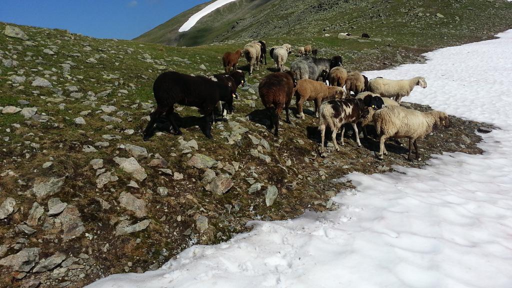 Ferienhaus Eiter Sankt Leonhard im Pitztal Exteriör bild